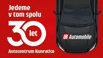 29let LBAutomobile